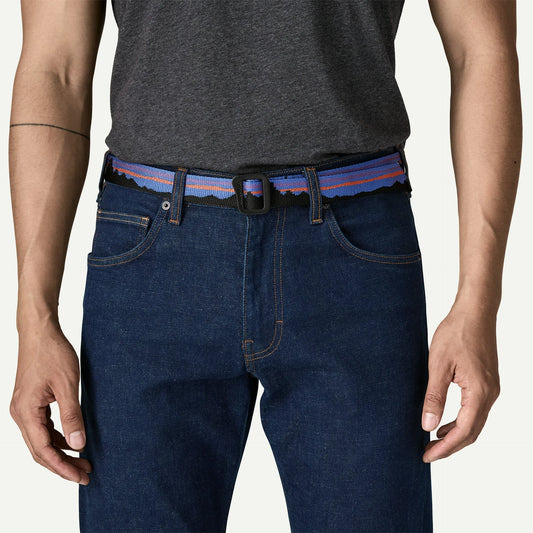 Friction Belt - US 7008