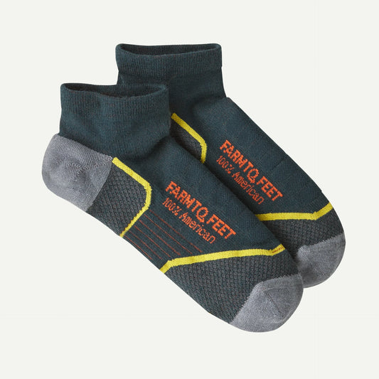 Farm to Feet® Damascus Light Targeted Cushion Low Socks - US 6569