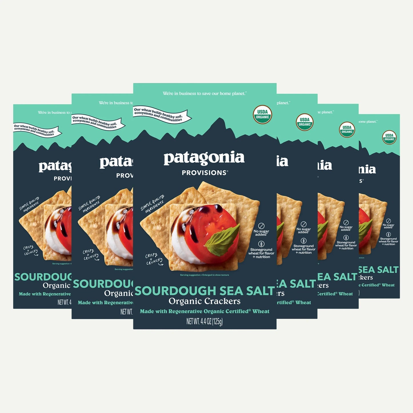 Organic Sourdough Sea Salt Crackers - US 4616