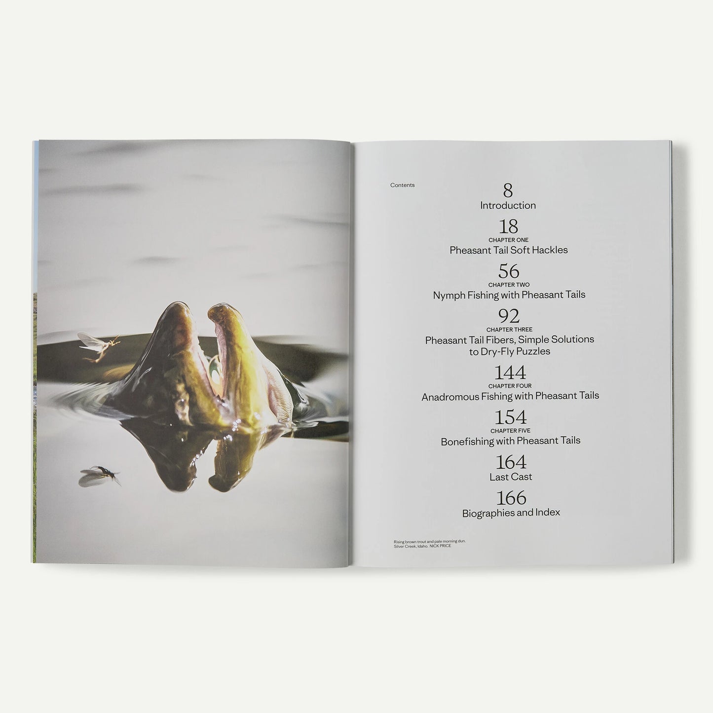 "Pheasant Tail Simplicity: Recipes and Techniques for Successful Fly Fishing" (by Yvon Chouinard, Craig Mathews, and Mauro Mazzo) - US 5664