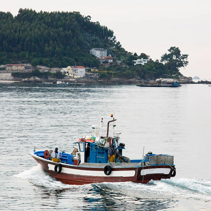 Sardines & Beans: White Beans, Lemon, Garlic and Leeks - US 3250