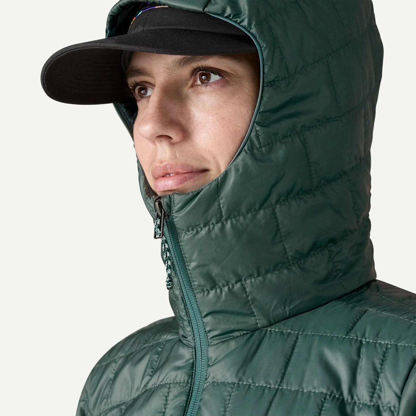 Women's Nano Puff® Fitz Roy Trout Hoody - US 0393