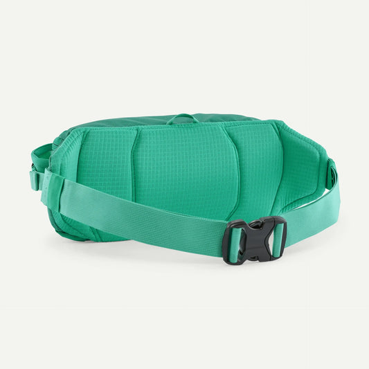 Black Hole® Waist Pack 5L - US 4231