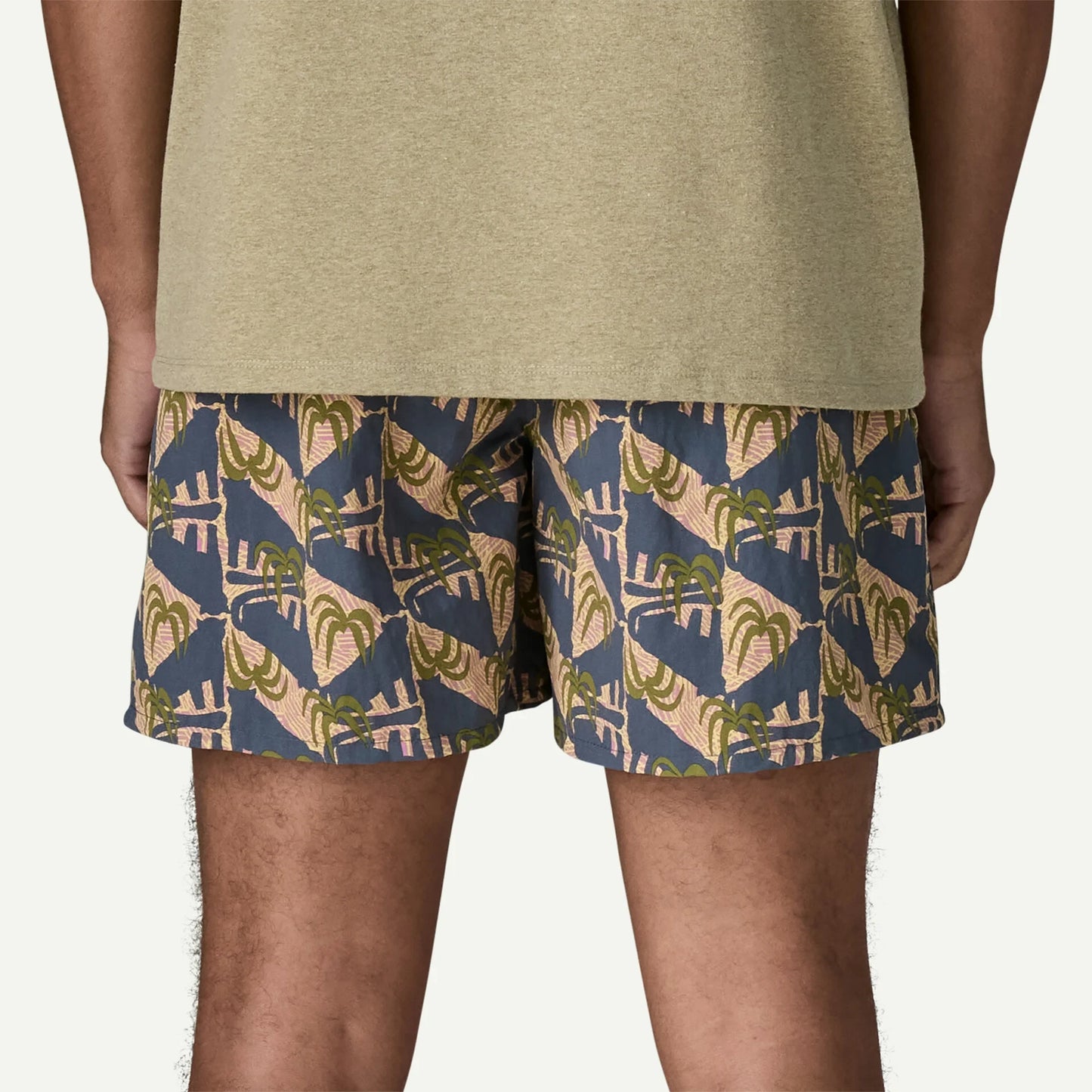 Men's Baggies™ Shorts - 5" - US 8460
